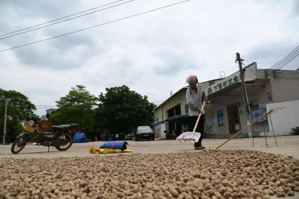 FDD54EDE59C14B212966C53D46B_AF12DBAD_766DF FDD54EDE59C14B212966C53D46B_AF12DBAD_766DF