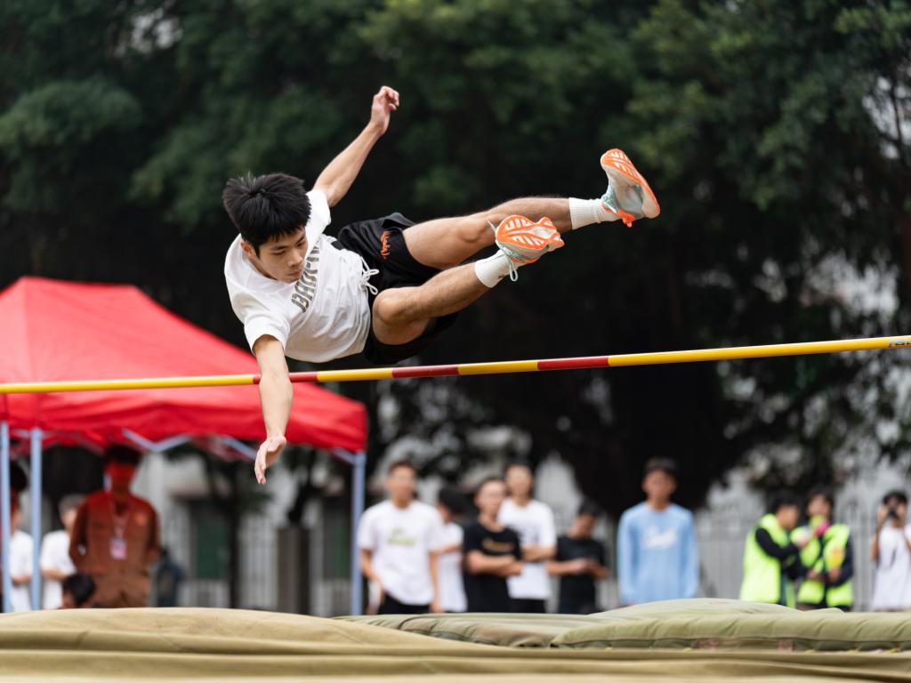 82C6262F4A23DC22471B13F0299_CBC0C3C8_136B2