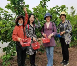 Ҽ������app����(�й�)�ٷ�������