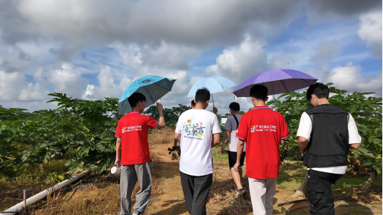 C3A40DE16E17824BAEBCE6F632D_F3127727_A9785 C3A40DE16E17824BAEBCE6F632D_F3127727_A9785