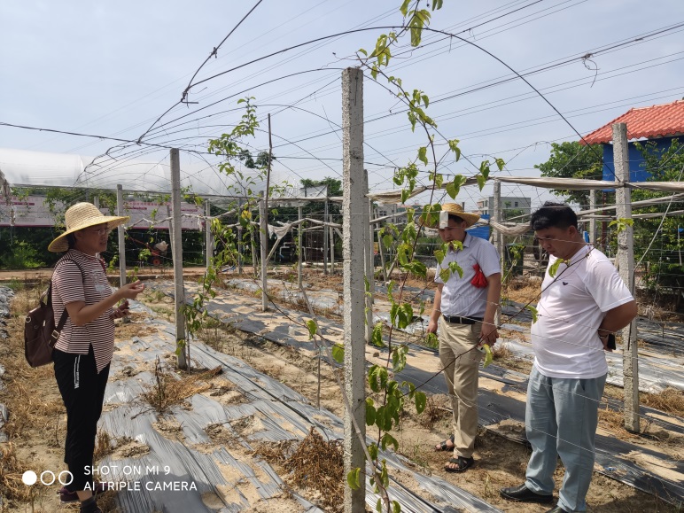 Ҽ������app����(�й�)�ٷ�������