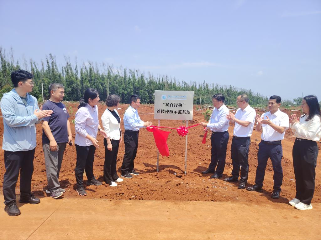 8A23154526ACC0D4E850A6DE900_A5438936_1D571