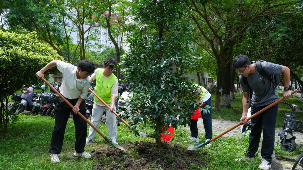 C021358DC167DBD7546C32DC3A7_0B48F2DD_2A986