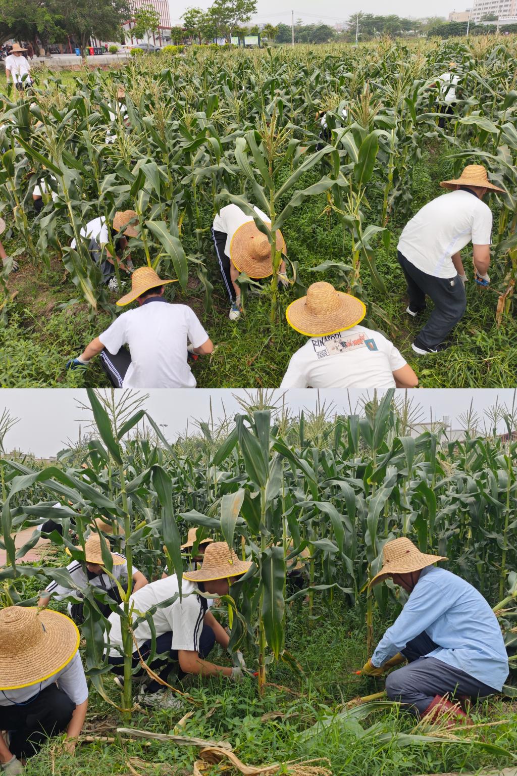 6B693D9335A628C703FFEDB745B_C20E7E64_62364 6B693D9335A628C703FFEDB745B_C20E7E64_62364