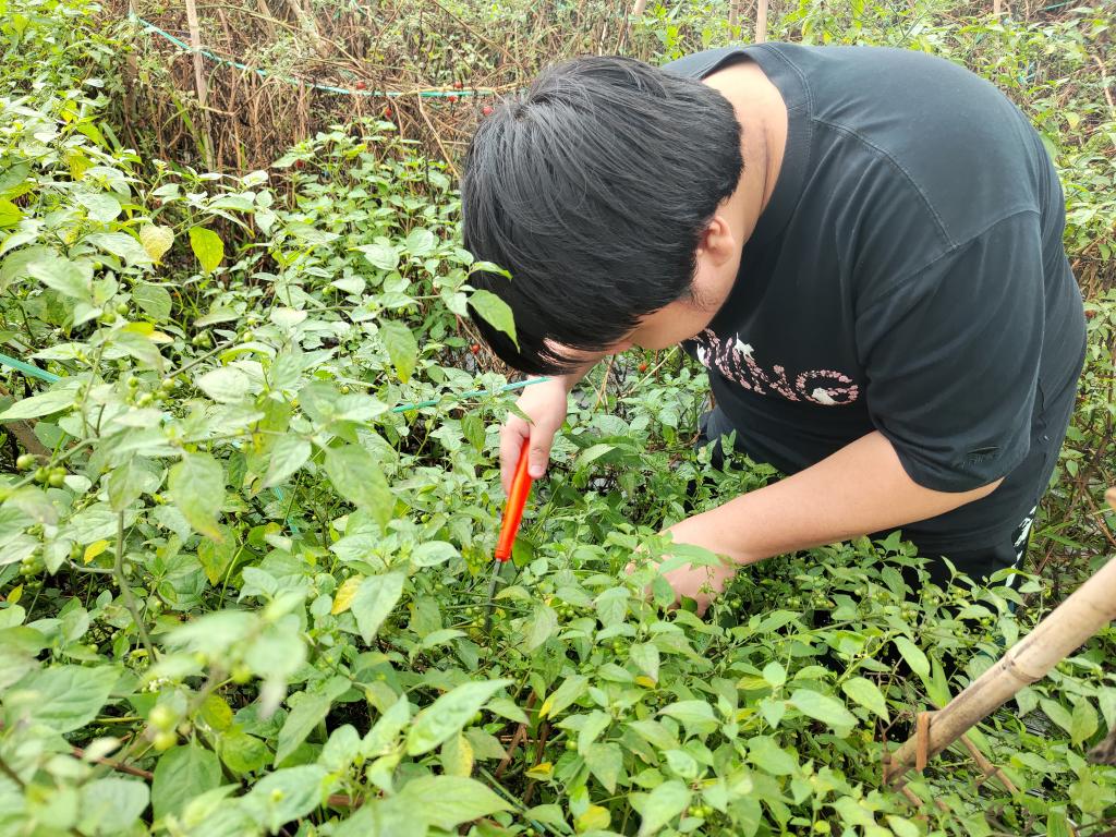 46B8FF2356D23B1311F70D4C401_75D6D751_35882 46B8FF2356D23B1311F70D4C401_75D6D751_35882