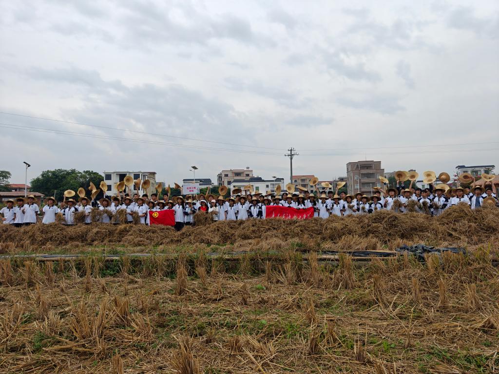 C24CC7EAA6BBAF4CA729FB25175_025668E2_26B97 C24CC7EAA6BBAF4CA729FB25175_025668E2_26B97