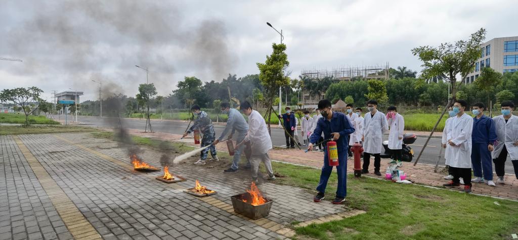 2B6513ECCE4FA00382FC78027C4_E37EAB11_16925 2B6513ECCE4FA00382FC78027C4_E37EAB11_16925