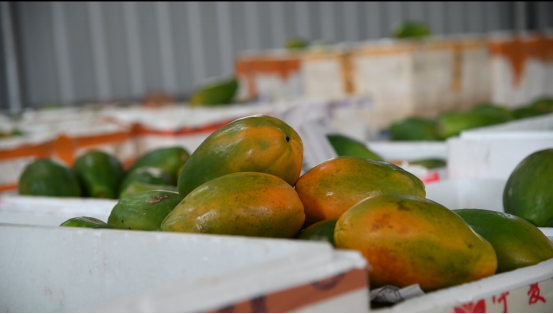 97135F2EBA0A651586AB1DC7FAF_DA09F7C9_A9F0F 97135F2EBA0A651586AB1DC7FAF_DA09F7C9_A9F0F