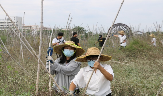 346CA7BF364FA0AE86ACA515A4A_0373FE56_53A73 346CA7BF364FA0AE86ACA515A4A_0373FE56_53A73