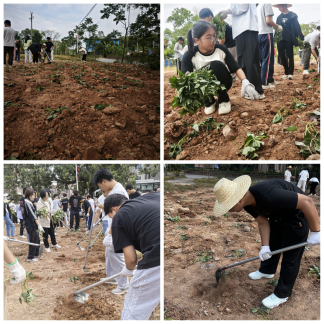 55B8205ED3002629F37414B6533_3E64D473_66C7D