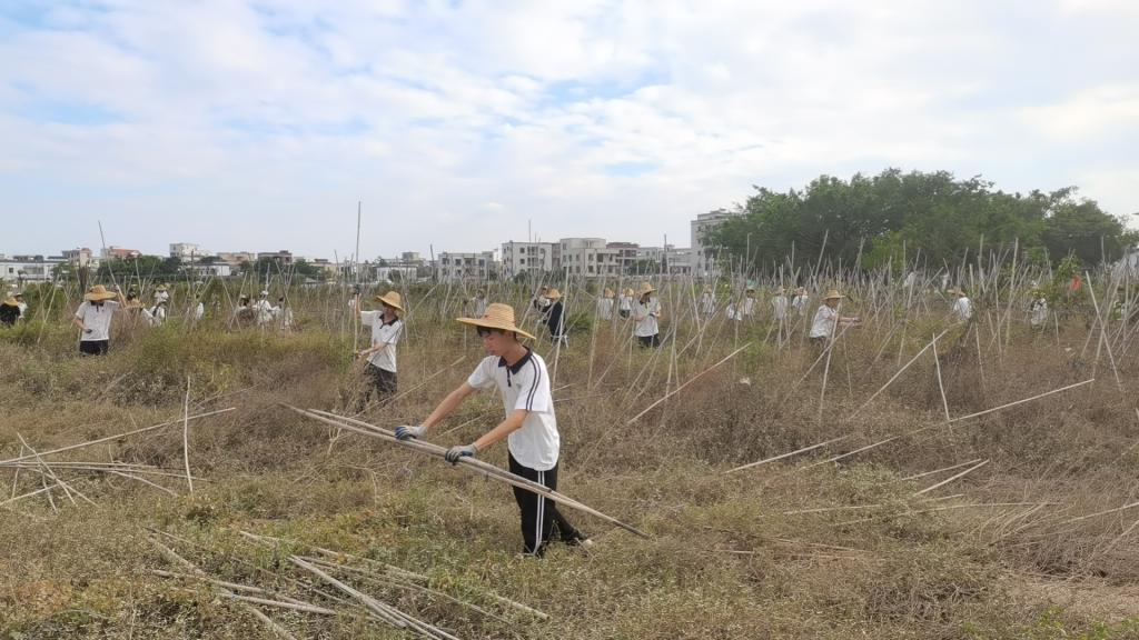 6B45806734C0F0DCB1F87BBB9D8_4FD5BEE9_192A8 6B45806734C0F0DCB1F87BBB9D8_4FD5BEE9_192A8