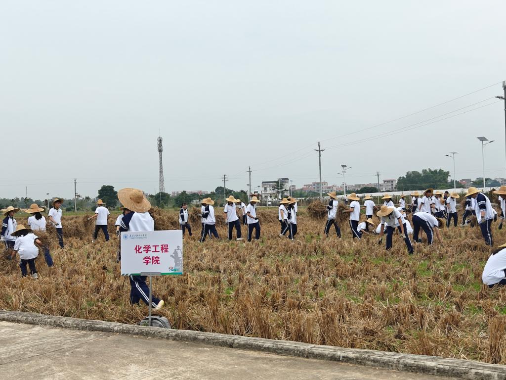 C3FA321FD7F979C20D7FED3FC0B_0E5E9ACA_20876 C3FA321FD7F979C20D7FED3FC0B_0E5E9ACA_20876