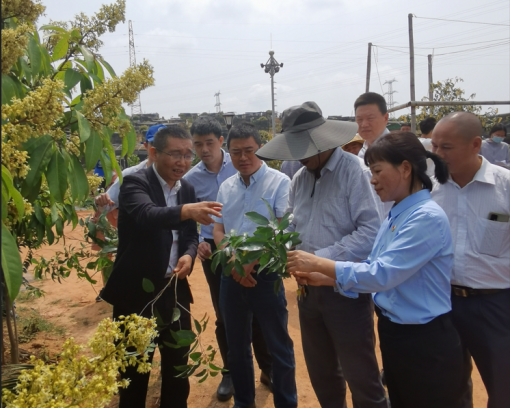 F7B68714DE6B99BBD2AEC6AB2E6_6A3A48BA_2BD95