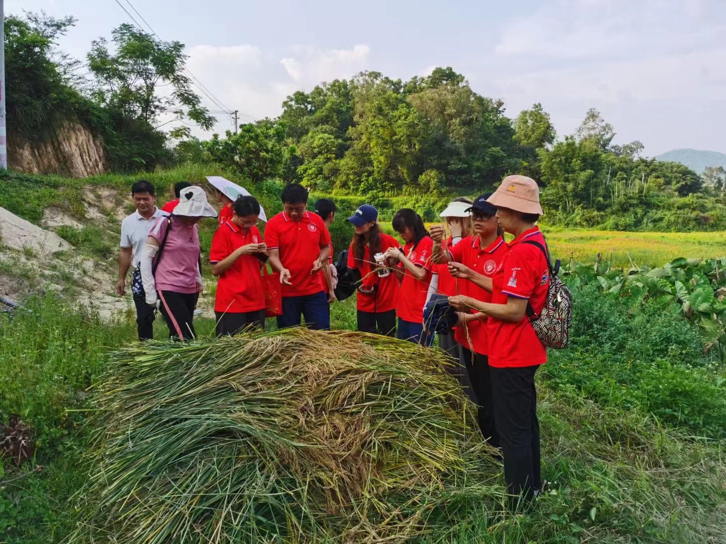 440EC88FED978F5F0FBE8F6E759_E960F2C1_ABC66