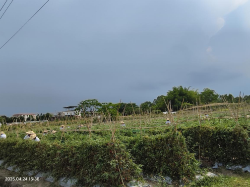 73CCBEBCD6C84ECBE7B7960785A_75CB0156_BA75D