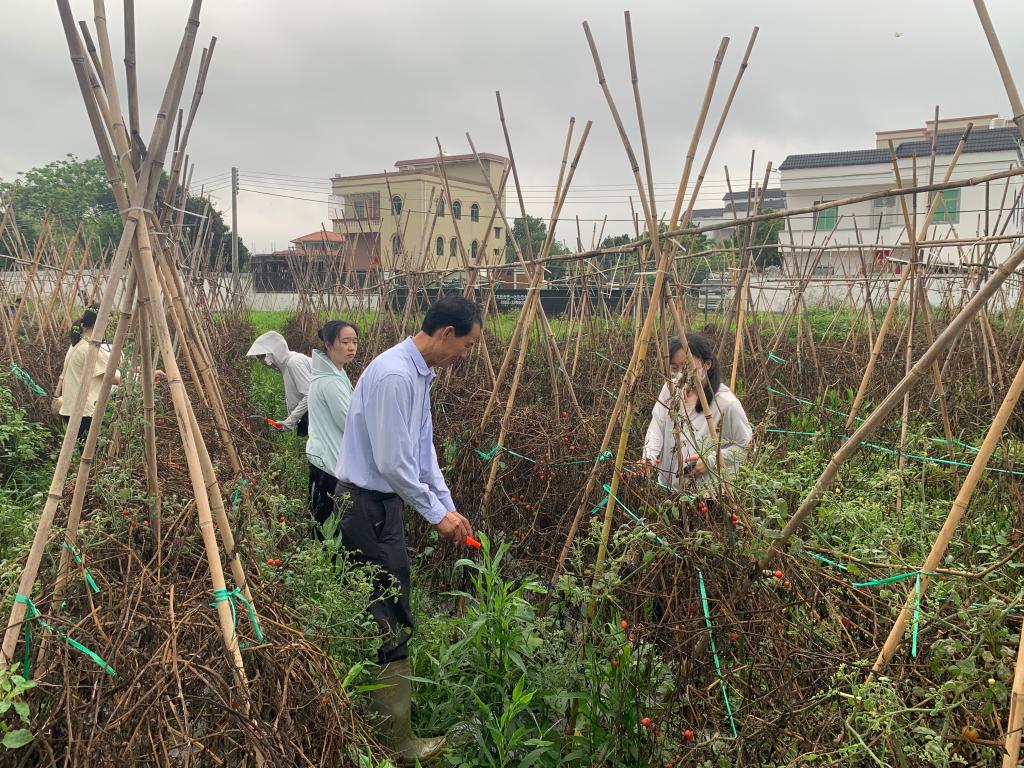 3BF4361845EDE01825D54DA1003_DE624656_3560A 3BF4361845EDE01825D54DA1003_DE624656_3560A