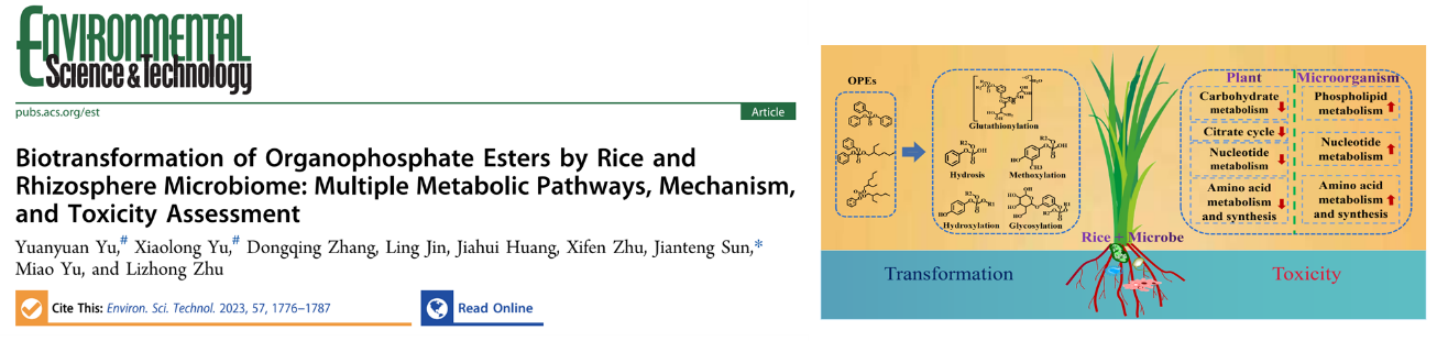 16DB2E6D1DD5195D9388384759B_2299C966_36476