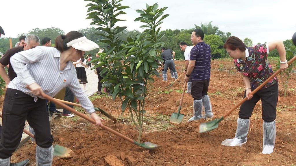 126019103A90BFD4FD087F74033_C21BAAF3_1DCA0