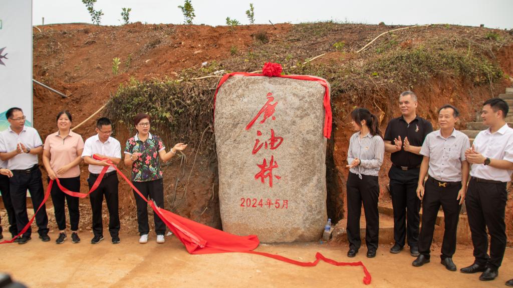 8E949FCED572AE7E2A19EBCC799_C5A5FE73_1E43F