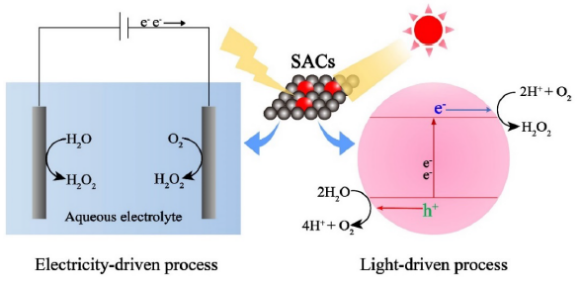 C8F97EBDFA4C55D3BE232E3E880_4C29842C_1BD3A C8F97EBDFA4C55D3BE232E3E880_4C29842C_1BD3A
