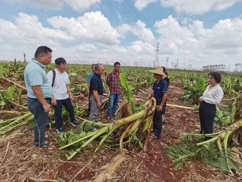 B09D9E2D38AEBD054842D7FB303_687445CA_117B1