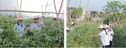 8095C0CB633D8EE775D8EC5045D_66FBD2AA_5C0F2