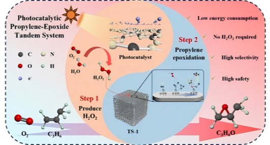 89CD8A806FE125C326899191680_83496D71_B19E